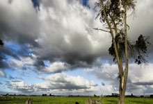 湘润湖南夺取重要胜利，实现逆袭